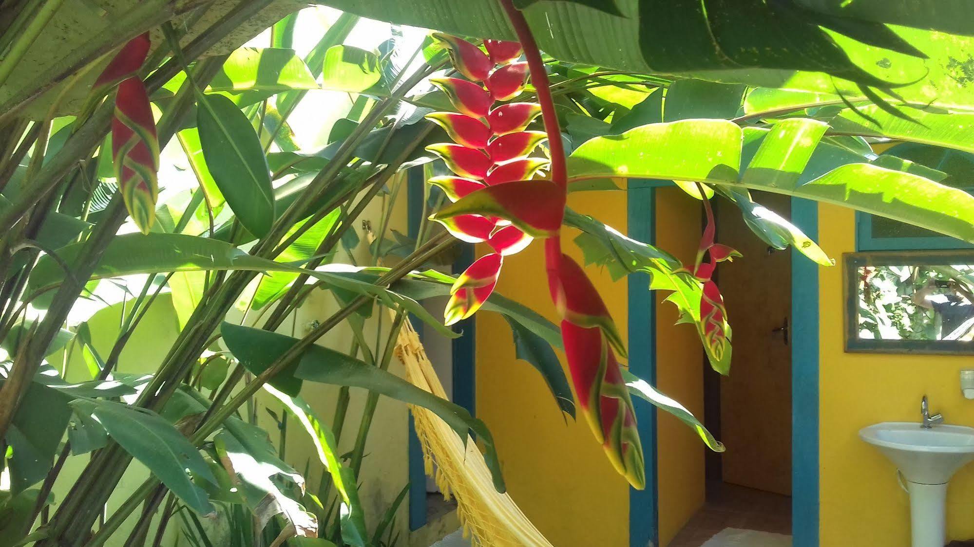 Maracuja Hostel パラチ エクステリア 写真